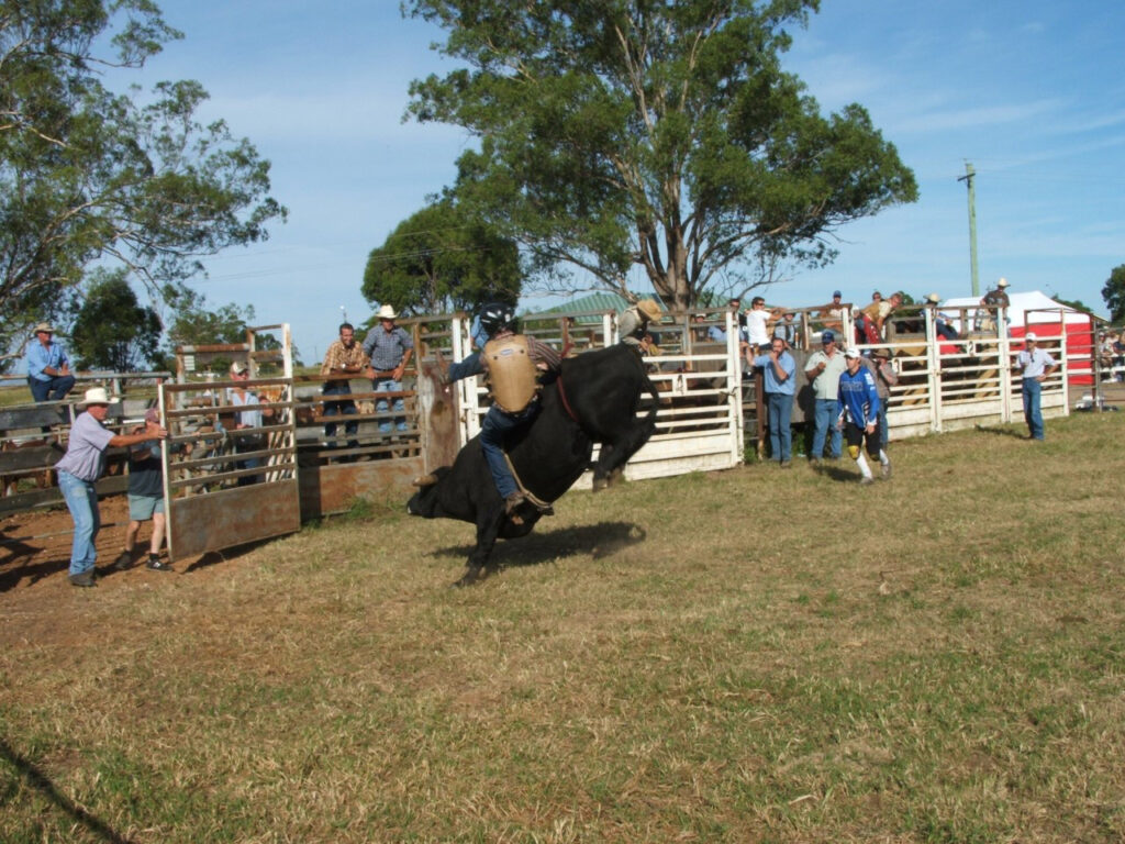 Luddenham show is back after two years Luddhenam Show